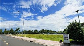 Đất đẹp giá ngộp Tân Bửu Bến Lức đường Nguyễn Hữu Trí - Ảnh 5