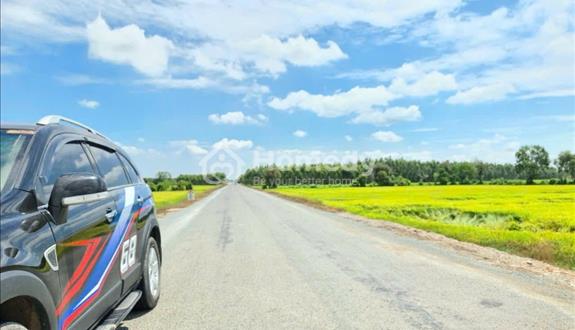 Bán Gấp 2541m2 Đất Trồng Cây Lâu Năm Ở Mỹ Thạnh Đông – View Kênh Mát Mẻ  - Giá Tốt - Ảnh 1