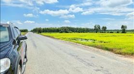 Bán Gấp 2541m2 Đất Trồng Cây Lâu Năm Ở Mỹ Thạnh Đông – View Kênh Mát Mẻ  - Giá Tốt - Ảnh 2