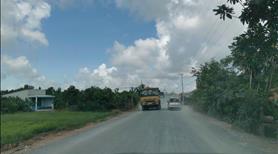 Bán Gấp 2541m2 Đất Trồng Cây Lâu Năm Ở Mỹ Thạnh Đông – View Kênh Mát Mẻ  - Giá Tốt - Ảnh 4