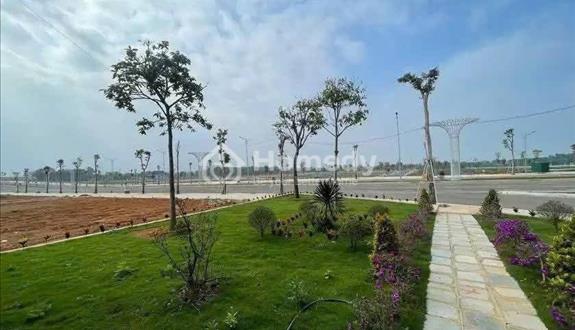 Dự án sao vàng thọ xuân - Ảnh 1