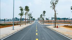 Dự án sao vàng thọ xuân - Ảnh 3
