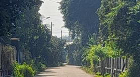 đông dân cách dt 741 100m - Ảnh 3