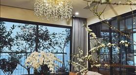 Vinhomes Ocean Park 1 Gia Lâm Cho Thuê Quĩ Căn Lớn Giá Tốt Nhất Thị Trường Chỉ Từ 5Tr - Ảnh 3