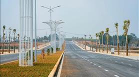 Dự án sao vàng thọ xuân - Ảnh 2