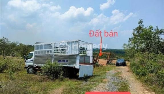 Bán nhanh lô đất vườn 1005m2 giá chỉ 450 triệu, đường ô tô, sổ hồng riêng, gần QL20 - Ảnh 1