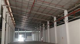 Cho thuê kho xưởng độc lập tại xã Quang Minh. Hà Nội, đã có Pccc tự động nhiệm thu - Ảnh 2