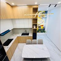 Bán Nhà Siêu Phẩm 25/22 Thành Mỹ, Tân Hòa, HCM