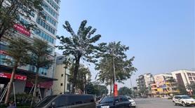 Siêu hót cho thuê 340m2 tầng 1 Mặt phố Liễu giai, Ba Đình - Ảnh 2