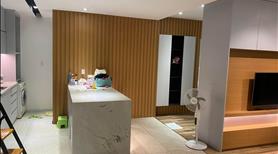 Bán Nhà Lũy Bán Bích, Hòa Thạnh, Tân Phú, Gần Chung Cư Carillon 5, 84m2, giá 12 tỷ - Ảnh 2