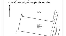 đất mặt tiền đường nhựa khu dân cư ổn định cách quốc lộ chỉ 300 mét  - Ảnh 2