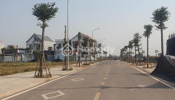 Bán lô đất nền đã có sổ dự án Dream city Bắc Giang, trung tâm hành chính mới tỉnh Bắc Ninh - Ảnh 1