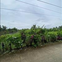  Đất Công Giá Rẻ Tân Phú Tx Cai Lậy Tiền Giang