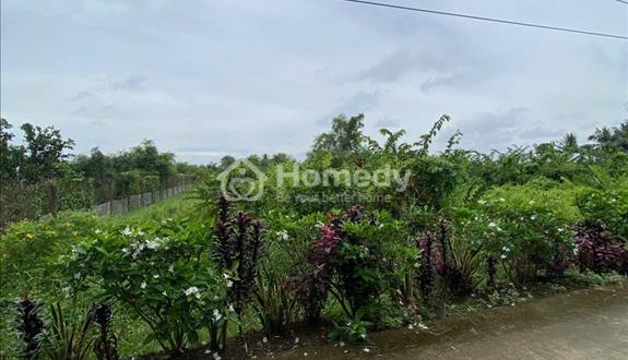  Đất Công Giá Rẻ Tân Phú Tx Cai Lậy Tiền Giang - Ảnh 1