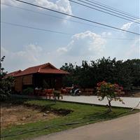 Đất vườn bưởi tại Thành Phố Hồ Chí Minh - Sổ sẵn  - Chỉ với 250 triệu đã sở hữu được ngayO