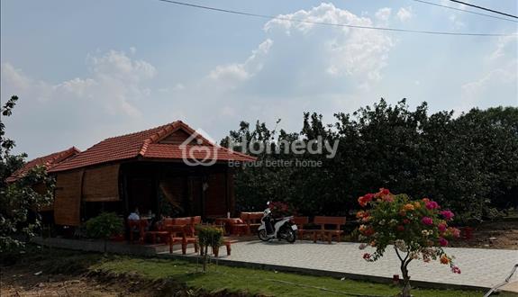 Đất vườn bưởi tại Thành Phố Hồ Chí Minh - Sổ sẵn  - Chỉ với 250 triệu đã sở hữu được ngayO - Ảnh 1