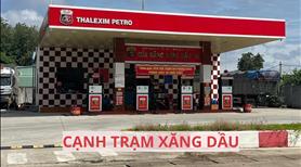 Đất Bình Dương sẵn vườn bưởi 263m2 có thổ cư giá 950triệu - Ảnh 5