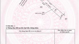 Đất Bình Dương sẵn vườn bưởi 263m2 có thổ cư giá 950triệu - Ảnh 8