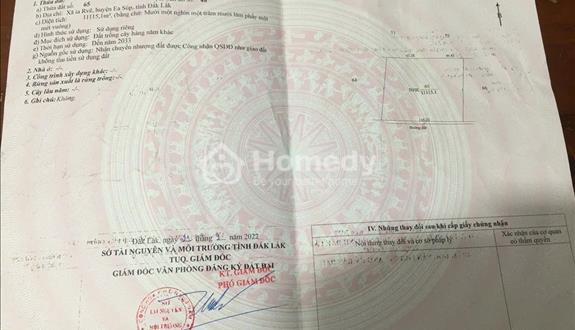 Chính chủ bán đất nhk vuông vức 11115m2 chỉ 2tỷ5 đắk lắk mặt tiền đường chính. - Ảnh 1