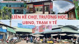 Đất thổ cư có sẵn vườn bưởi – mặt tiền kinh doanh chỉ 950 triệu - Ảnh 3