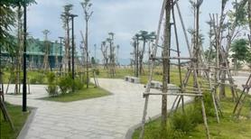 Bán lỗ nền góc sau lưng biệt thự. Gần chợ, trường học. Mua ở, đầu tư, tích sản. Lh: 0934136786 - Ảnh 4
