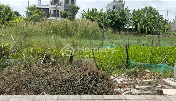 Chính chủ bán đất đường TC5 khu dân cư cát tường phú sinh - Ảnh 1