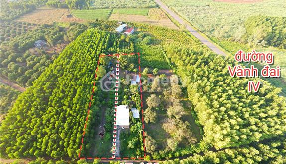 Cần Bán lô đất nghỉ dưỡng gần sân bay Long Thành - Ảnh 1
