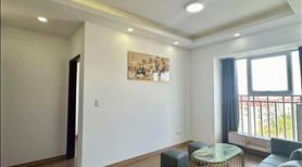 Bán chung cư 12T sơn trà tầng trung giá 2 tỷ 450 - Ảnh 3