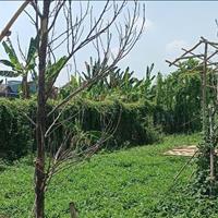 Đất đường ô tô thông, Bình Mỹ, Củ Chi, 10x25m, 990tr