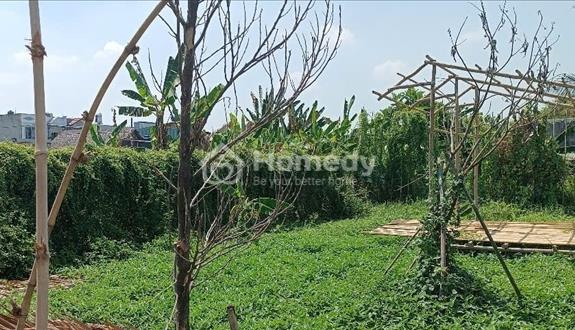 Đất đường ô tô thông, Bình Mỹ, Củ Chi, 10x25m, 990tr - Ảnh 1