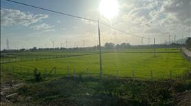 BÁN 16,000 m2 (1 mẫu 6) ĐẤT NÔNG NGHIỆP – SỔ ĐỎ RIÊNG 🌿 - Ảnh 3