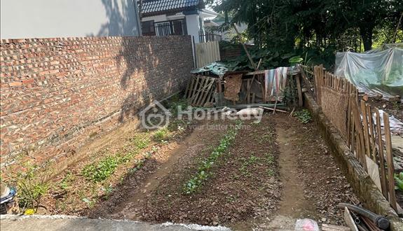 Mình chính chủ sổ đỏ cần bán mảnh đất 41m2 tại xóm 3 đồng nhân; giá 3,5 tỷ - Ảnh 1
