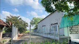 Bán đất củ chi 186m² (ngang 6x31), cách ql22 100m – giá 700tr, bớt lộc cho khách mua đầu năm, SHR - Ảnh 3