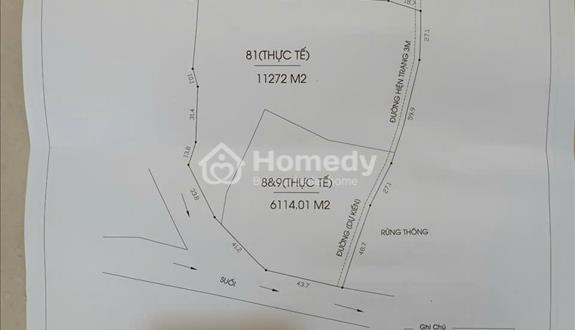 🔥 Bán đất  - thu nhập cao, có sẵn dòng tiền 🔥 - Ảnh 1