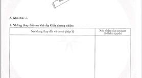 Chính Chủ cần bán 1000m² đất lúa 2 Mặt Tiền chỉ 100tr Sang TÊN Sổ Hồng - Ảnh 3