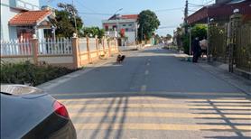 Bán lô đất biển ngay khu kinh tế ninh cơ 14.000 Ha tại hải hậu, nam định - Ảnh 3