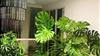 Tôi chính chủ cần bán căn hộ Duplex cực đẳng cấp