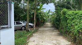 Bán đất thổ cư ấp 4 - gần đường nhựa 92B - sổ Hồng riêng - Ảnh 3
