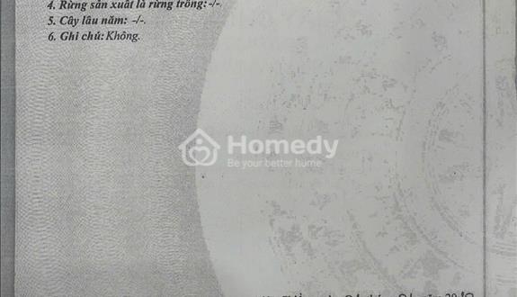 🔴💥bán đất đường hòa phú 2 - trục thông nguyễn chơn - Ảnh 1