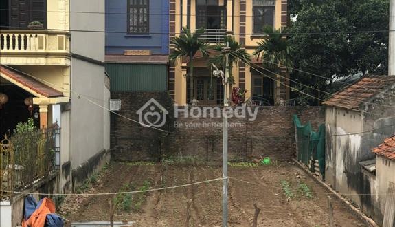 Bán 200m đất mặt đê Đông Ngàn, Đông Hội (trong đê) - Kinh doanh - Giá như trong ngõ - Ảnh 1