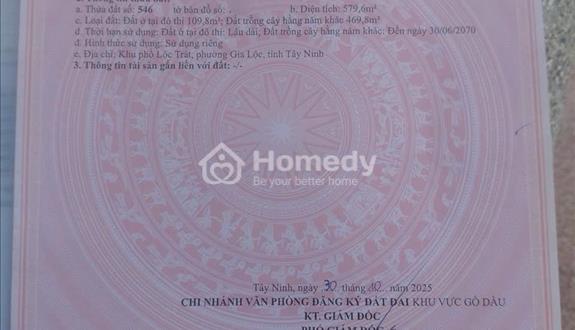 🔥 Chính Chủ cần Bán Gấp Lô Đất Đẹp- Phường Gia Lộc , Trảng Bàng - Ảnh 1