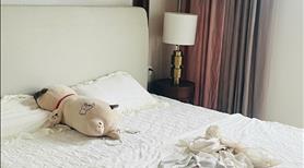Bán căn hộ 57m2 - 1Pn + 1Wc full nội thất đẹp tại Diamond Park Plaza, 16 Láng Hạ! - Ảnh 6