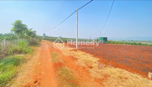 3,6 sào hẻm dh1, tân hội, đức trọng cũ, lâm đồng - Ảnh 1