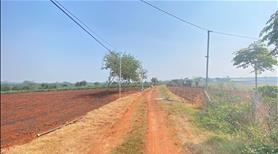 3,6 sào hẻm dh1, tân hội, đức trọng cũ, lâm đồng - Ảnh 3