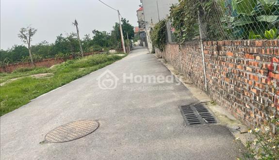 Đất đẹp 45m2 cạnh dự án Vin Bắc Hồng. Đường thông ô tô full thổ cư - Ảnh 1