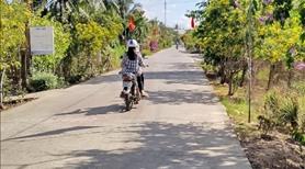 Đất vườn mặt tiền - Ảnh 2