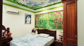 Nhà đẹp hẻm 4m đường Lạc Long Quân, 58m2, 4.3x13, 3PN, ko lộ giới, Chỉ 5.2 tỷ TL - Ảnh 6