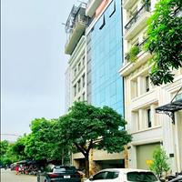 Bán đất, giá đầu tư, oto tránh, kinh doanh, Nguyễn Văn Linh, Long Biên, 100m x 5,5m 3 nhà rât2j pho