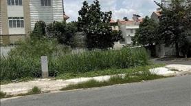 Siêu Phẩm - Hàng Ngộp! Đất  Mặt Tiền Đường 12M, KDC Trung Sơn. DT: 120 (6 X20). Giá: 15,5 tỷ - Ảnh 2