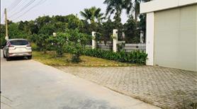 Bán Đất Xây Biệt Thự Nhà Vườn - Khu Vực Bình Nhâm Bình Dương - Ảnh 2